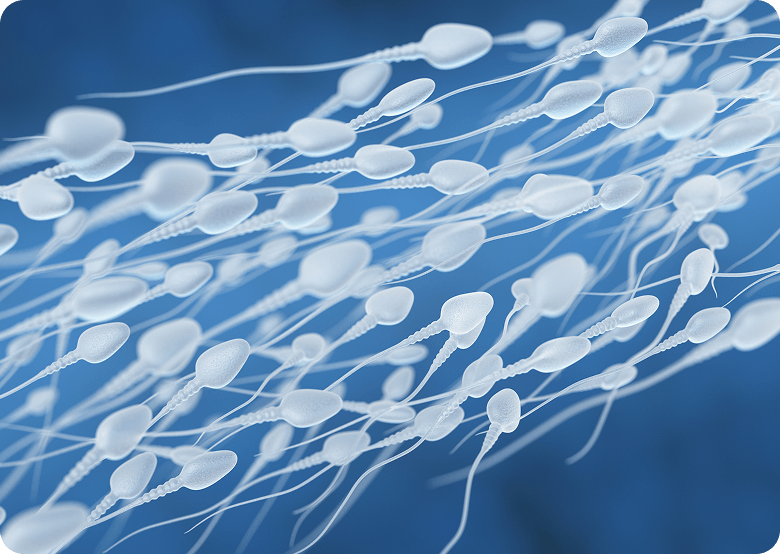 precios-hope-ivf-imagen-esperma