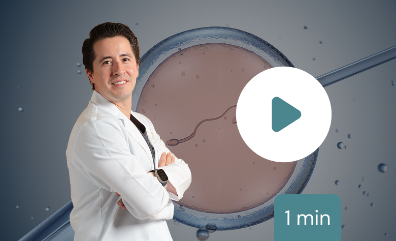 fecundacion-in-vitro-faq1