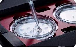 clinica-de-fertilidad-15-expansion