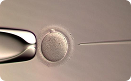 clinica-de-fertilidad-16-eureka