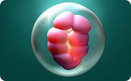clinica-de-fertilidad-18-gen