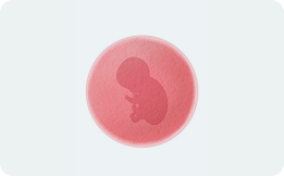 clinica-de-fertilidad-5-la-capital