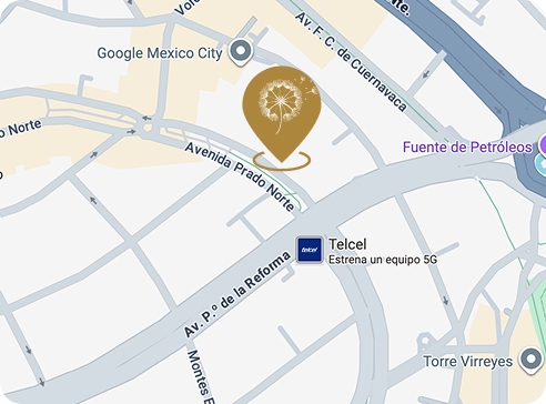 hope-ivf-cdmx-mapa