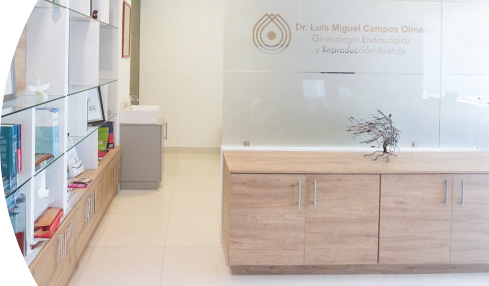hope-ivf-morelia-Banner-960