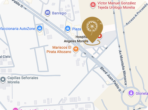 hope-ivf-morelia-mapa
