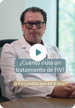 fecundacion-in-vitro-T2