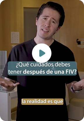 fecundacion-in-vitro-T4