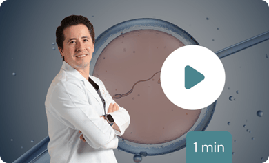 fecundacion-in-vitro-Thumb-que-es