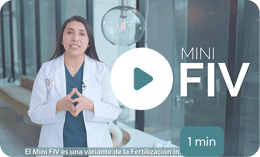 fecundacion-in-vitro-Thumbnail Mini FIV