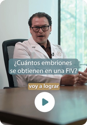 fecundacion-in-vitro-embriones