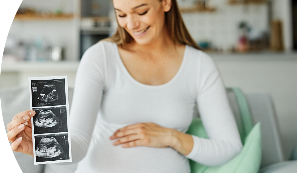 Inseminacion-artificial-Banner-desktop-960