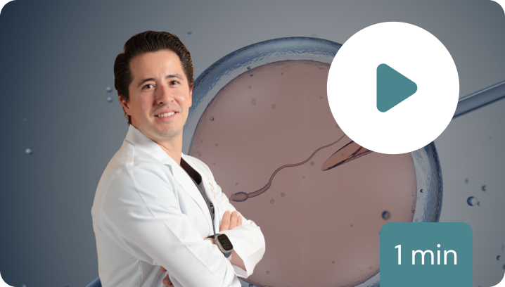 1-fecundacion-in-vitro